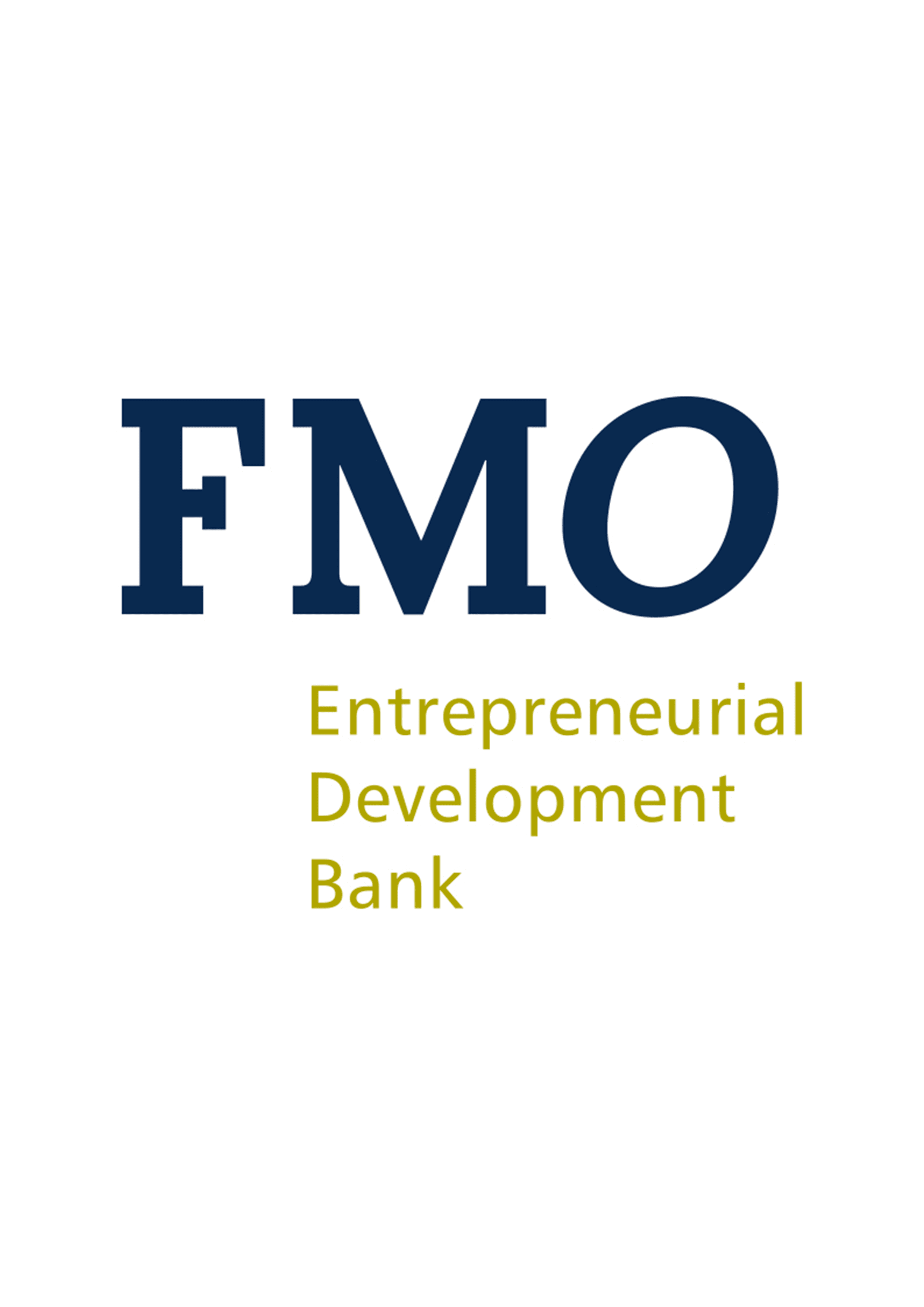 Netherlands Development Finance Company (FMO)