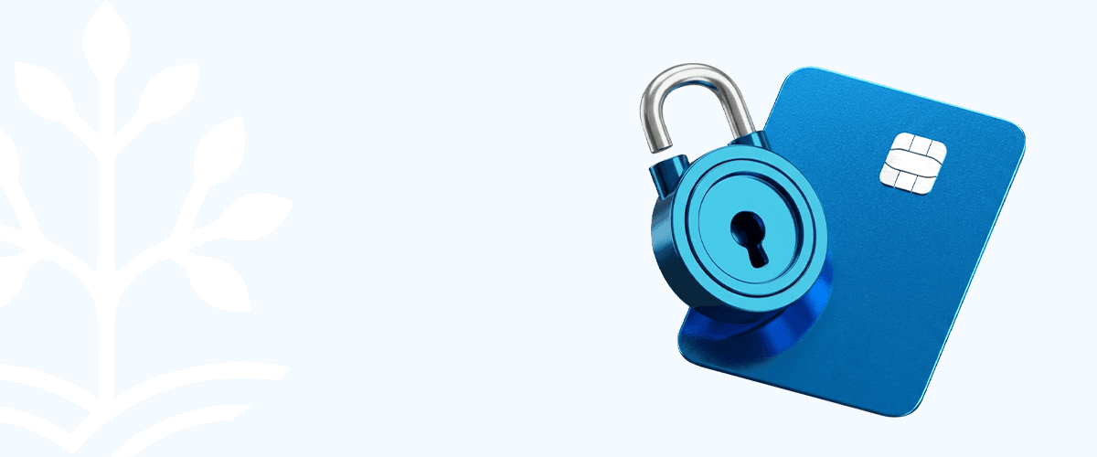 Anti-Fraud Protection